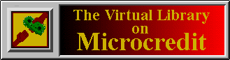 Bibliothèque Virtuelle
 sur le Microcredit