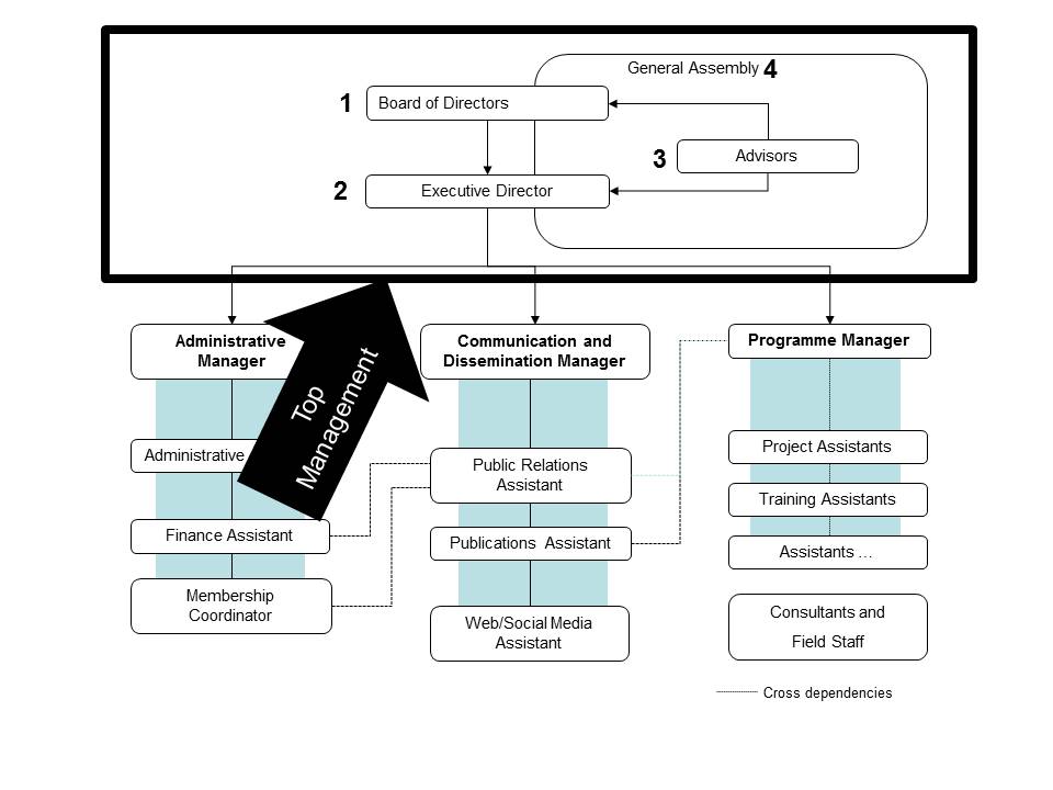 Typical Non Profit Organizational Chart