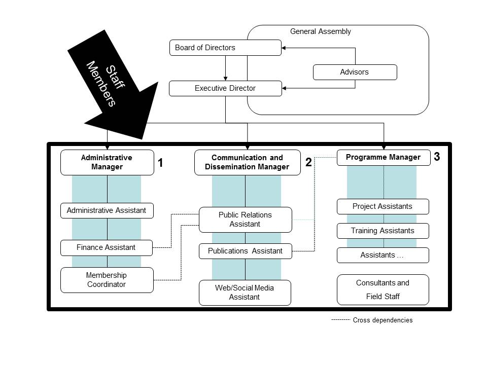 Ngo Organizational Chart