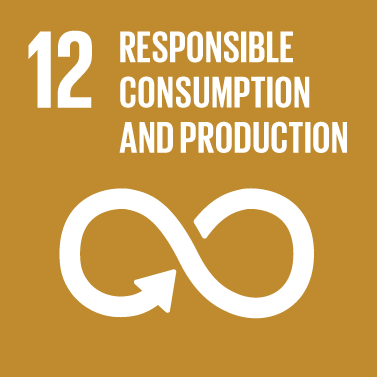 SDG 12